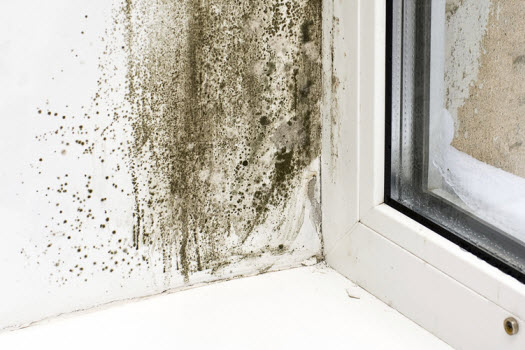 Post banner banner_img_url