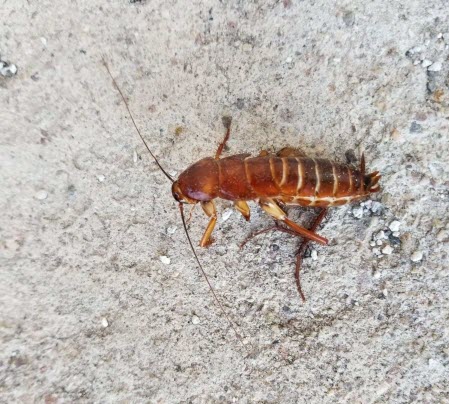 Post banner banner_img_url