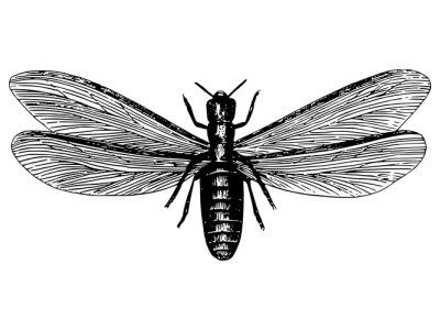 Post banner banner_img_url