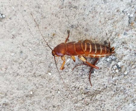 Post banner banner_img_url