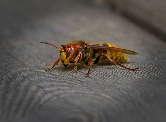 Post banner banner_img_url