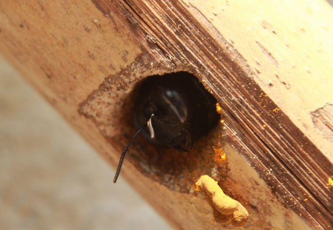 Post banner banner_img_url