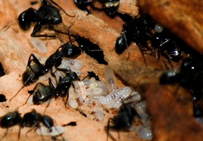 Post banner banner_img_url