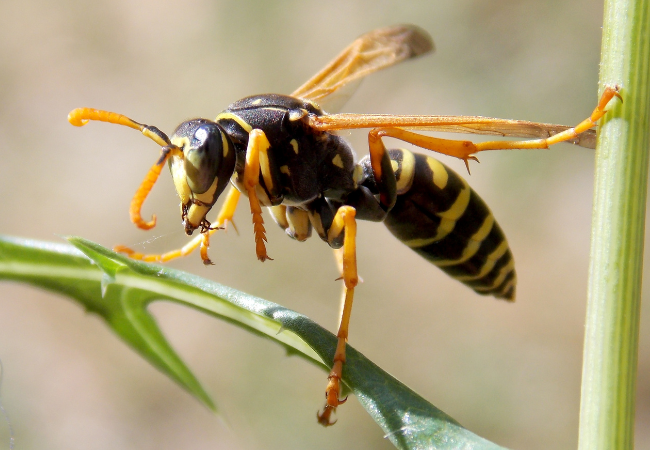 Post banner banner_img_url