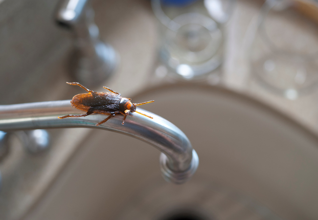 Post banner banner_img_url