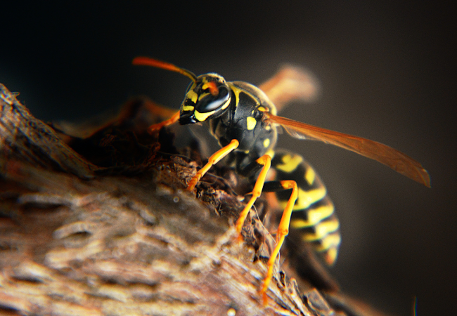 Post banner banner_img_url