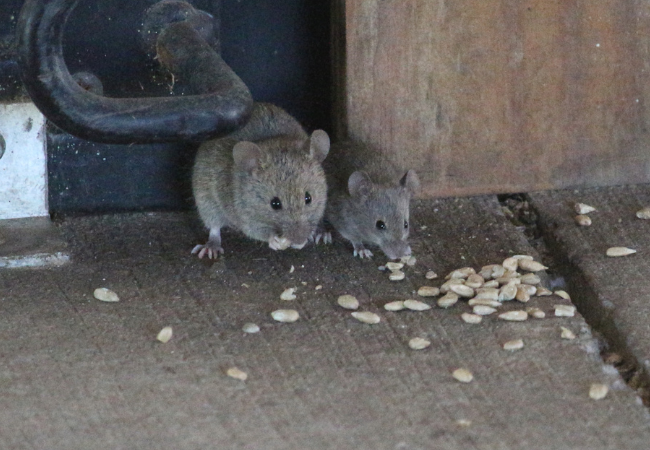 Post banner banner_img_url