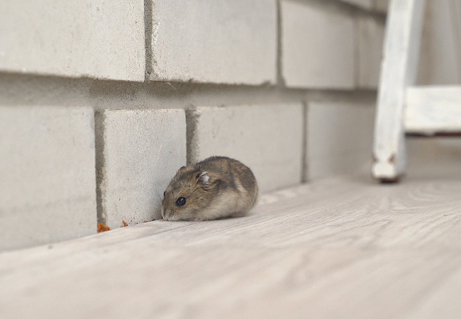 Post banner banner_img_url