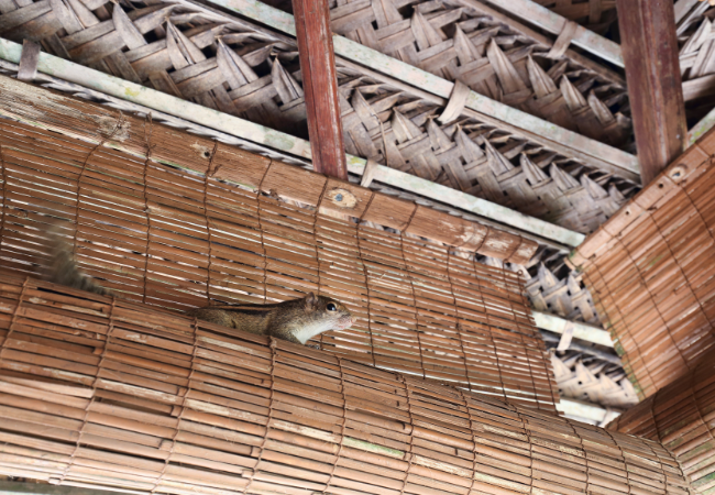 Post banner banner_img_url