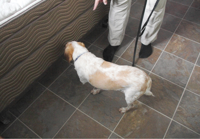 Post banner banner_img_url