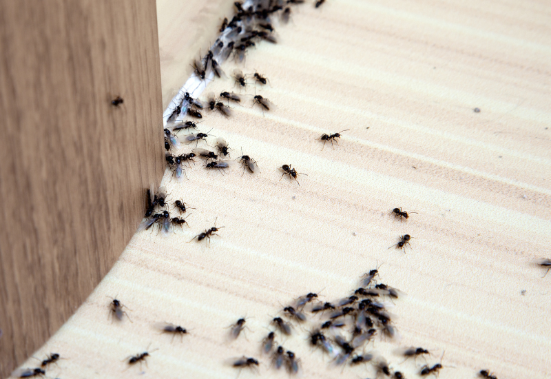 Post banner banner_img_url