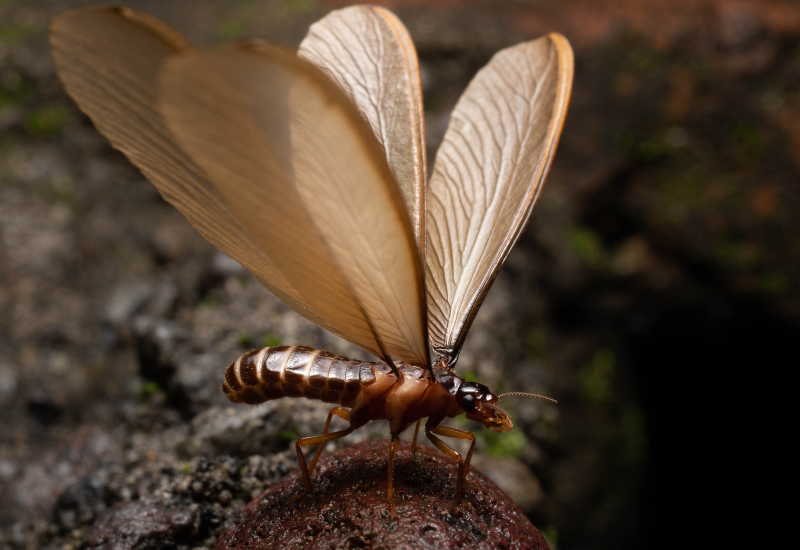 Post banner banner_img_url