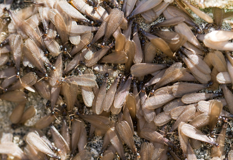 Post banner banner_img_url