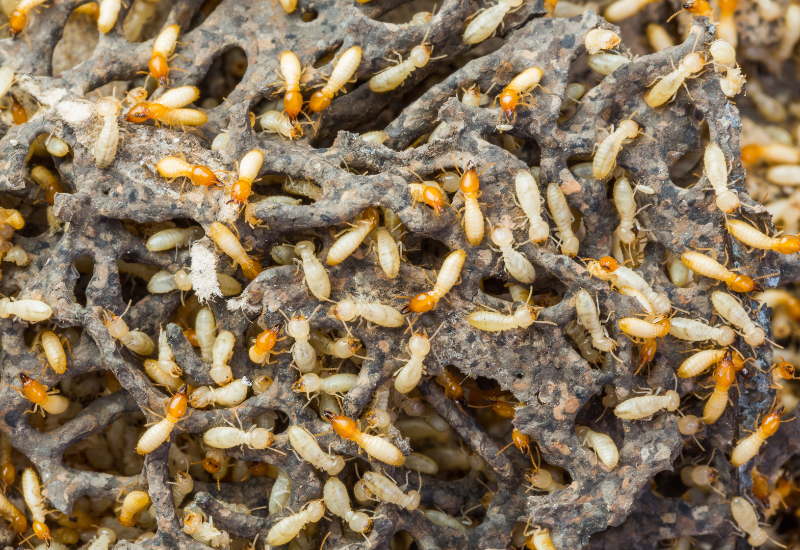 Post banner banner_img_url