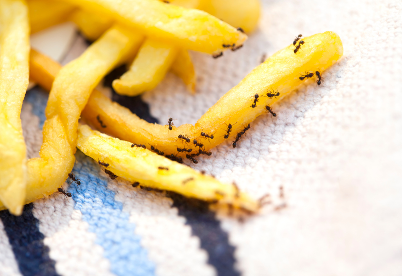 Post banner banner_img_url