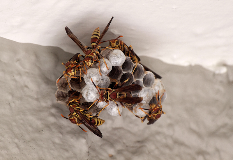 Post banner banner_img_url