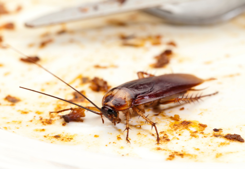 Post banner banner_img_url