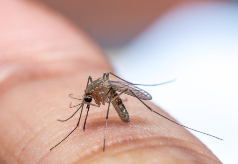 Post banner banner_img_url