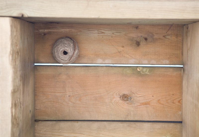 Post banner banner_img_url