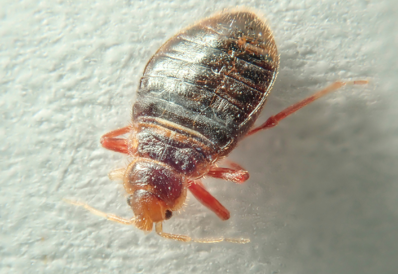 Post banner banner_img_url