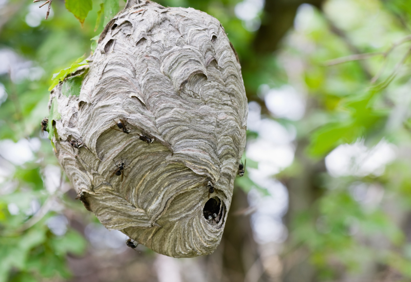 Post banner banner_img_url