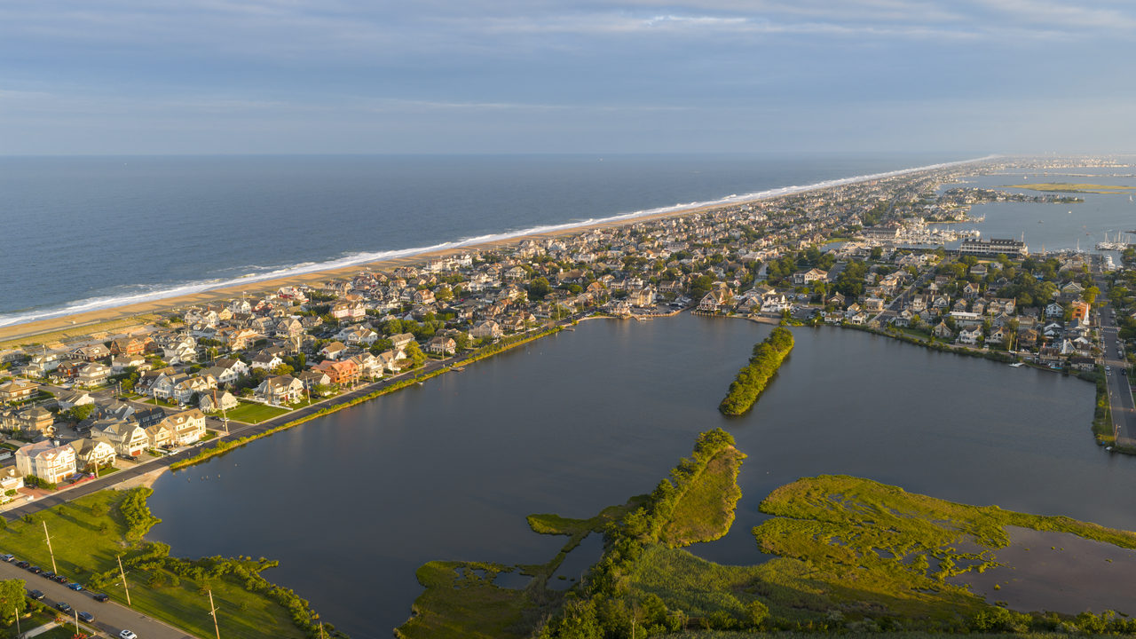 Pest control services in Bay Head, NJ
