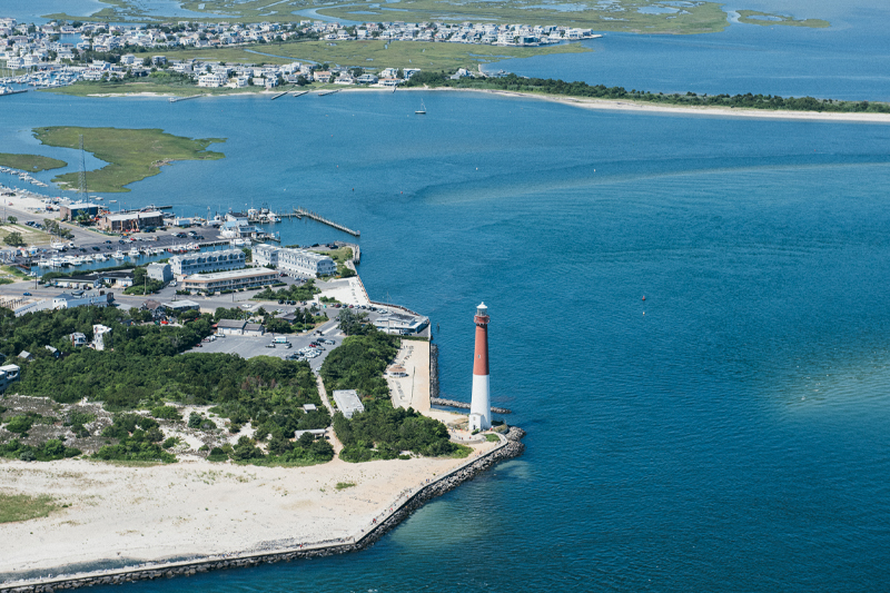 Pest control services in Barnegat Light, NJ