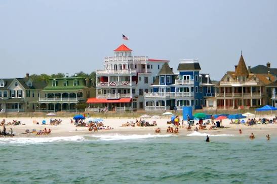 Pest control services in Cape May County, NJ